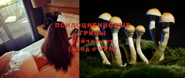 эйфоретик Зеленокумск